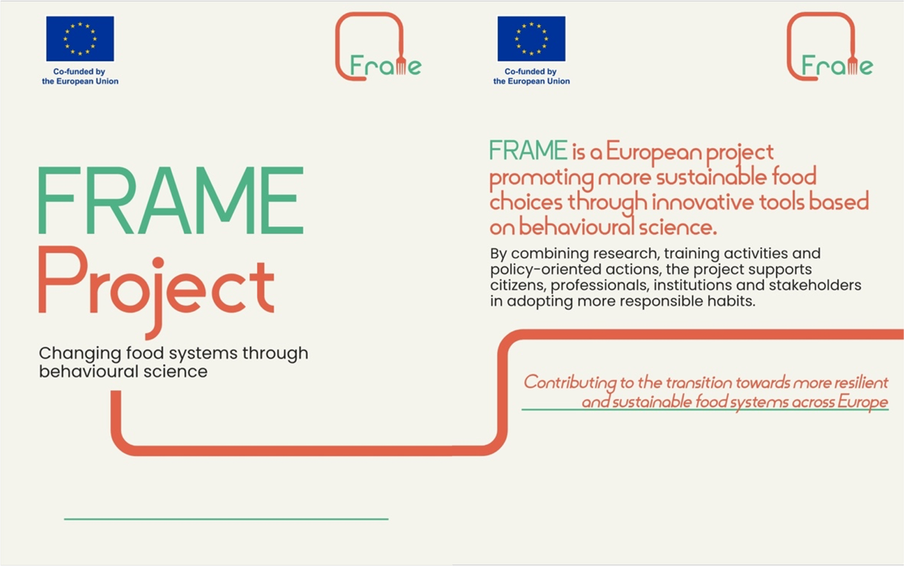 frame 1